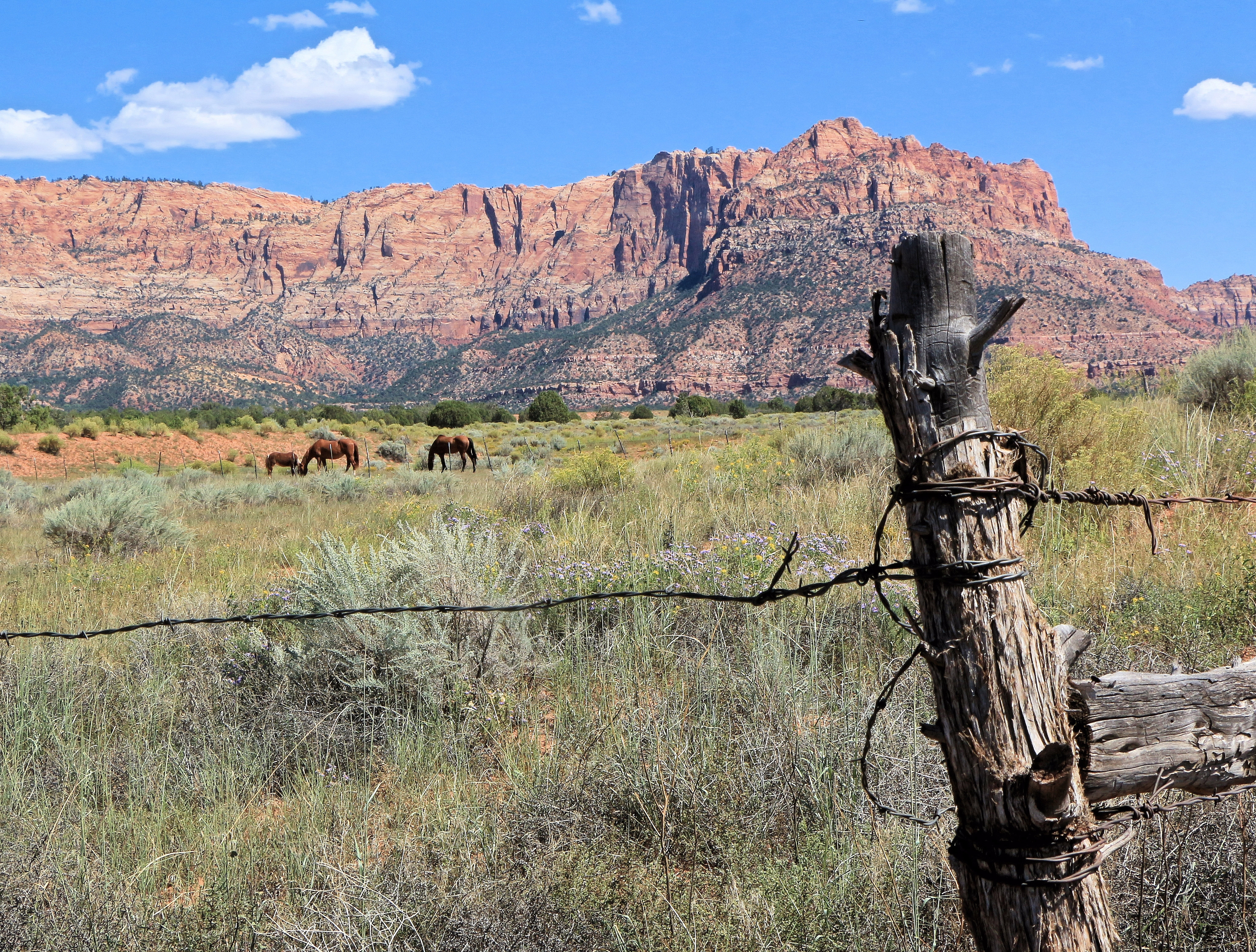 Apple Valley photo 3