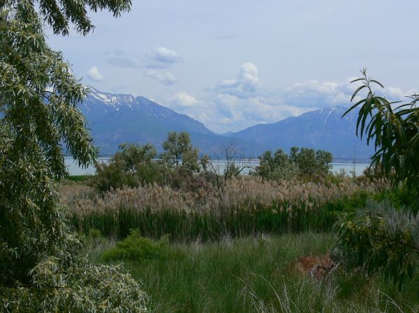 Saratoga Springs photo 3