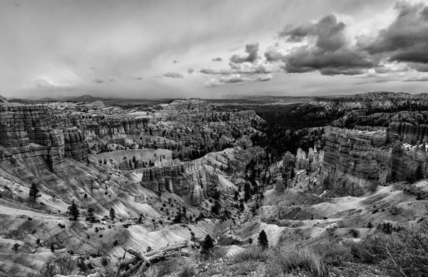 Little Black Mountain photo 2