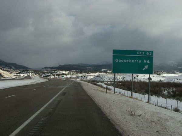 Salina photo 3