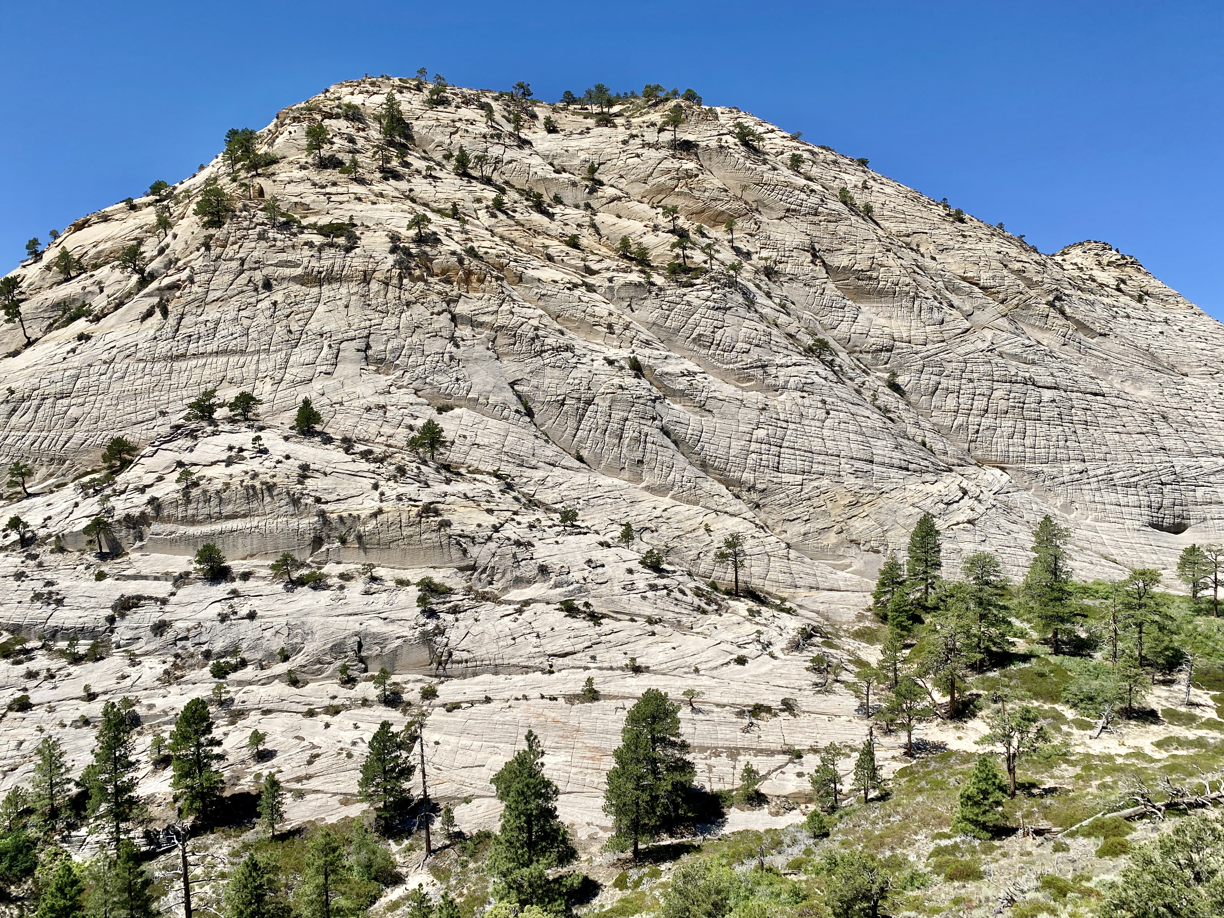 Northgate Peaks photo 3