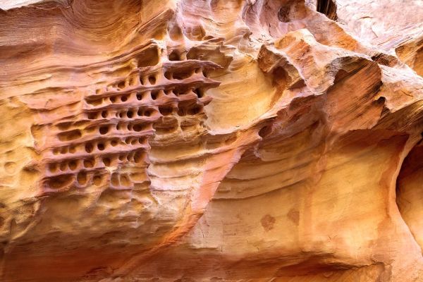 The Honeycombs, Utah
