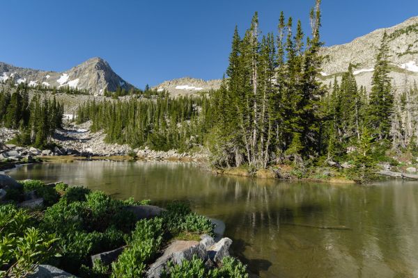 White Pine Peak photo 2