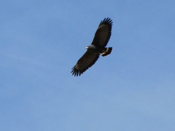 Hawks Nest photo 2