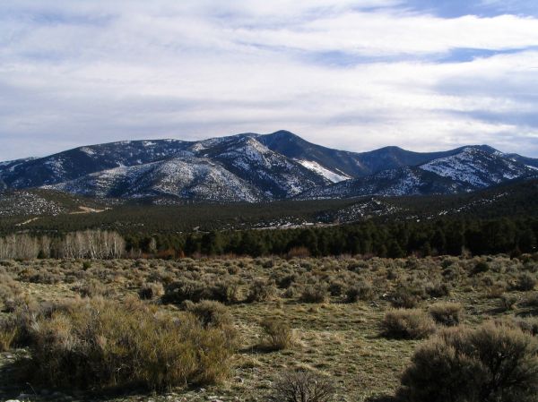 White Pine Peak photo 3