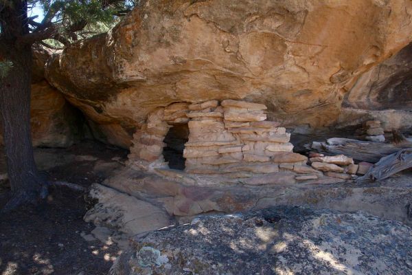 Collet Top, Utah
