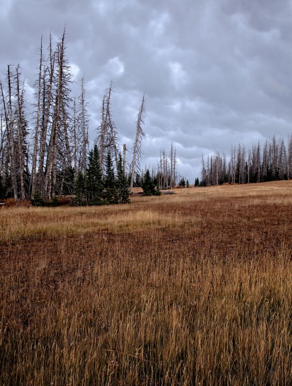 Cedar Breaks photo 3