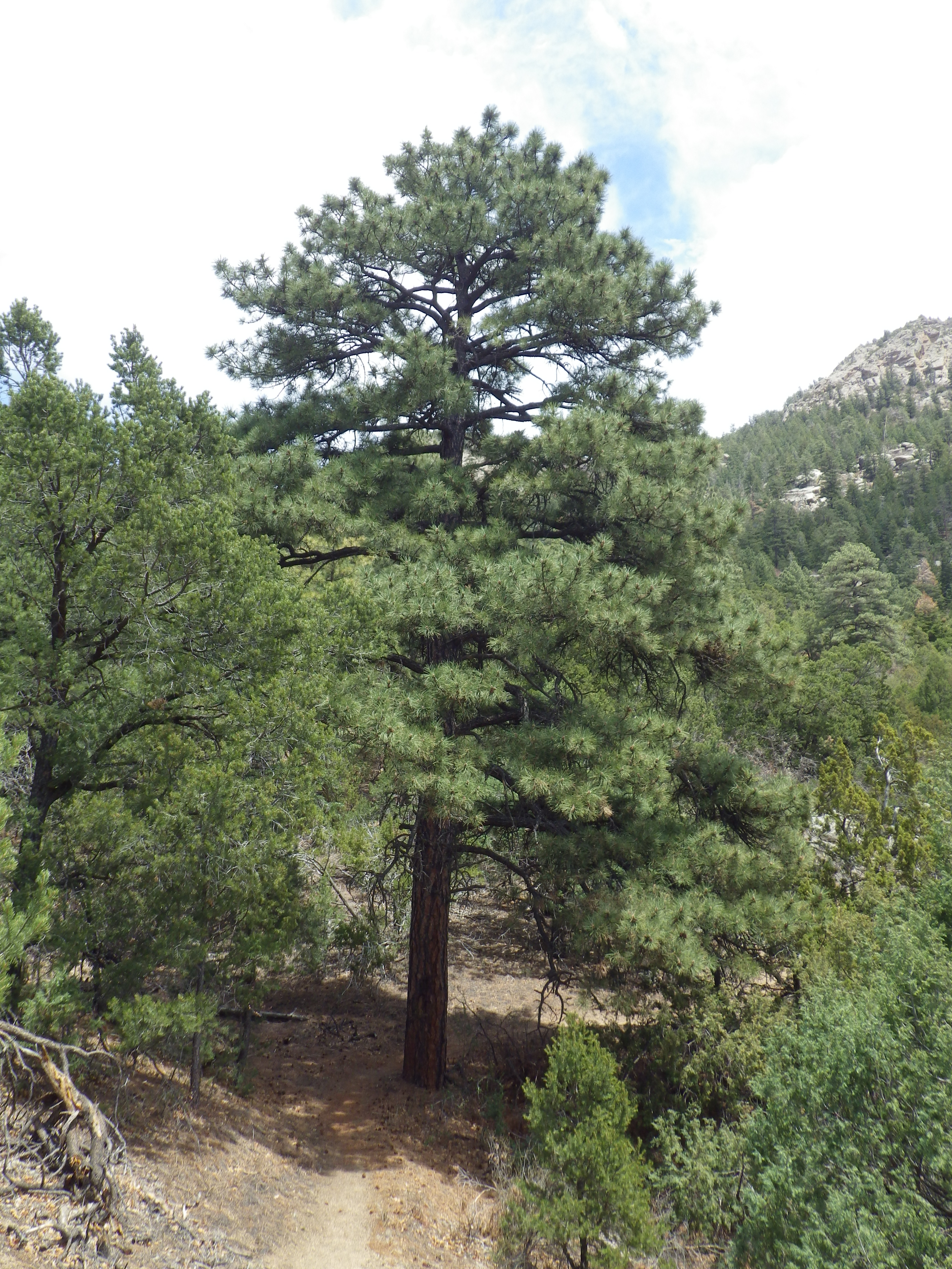 Pyramid Peak photo 3