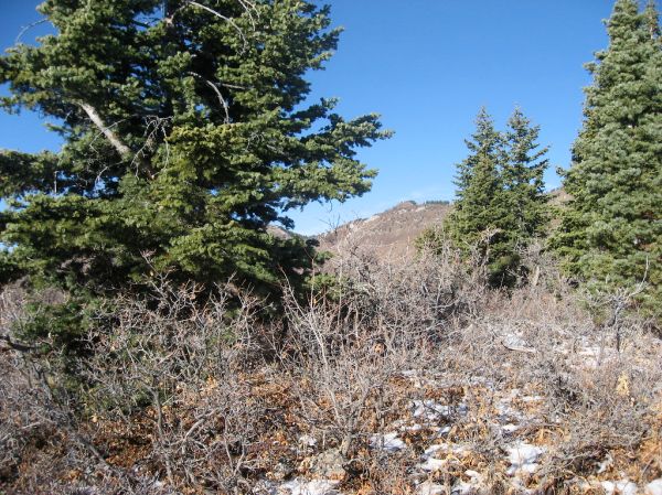 Table Butte photo 3