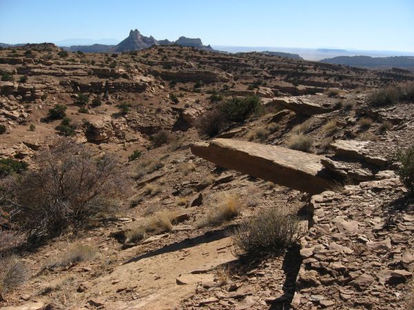The East Temple photo 3