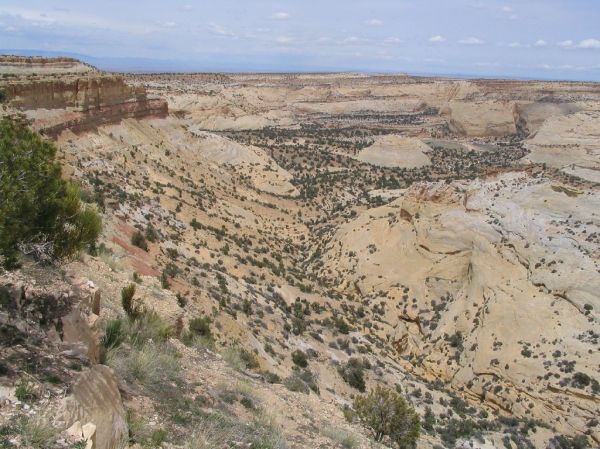 Eagle Mesa photo 3