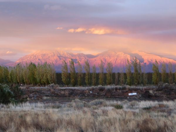 Timber Top Mountain photo 3
