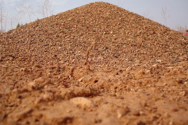 The Ant Hill photo 2