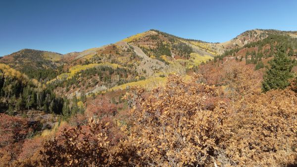 Mount Linnaeus, Utah