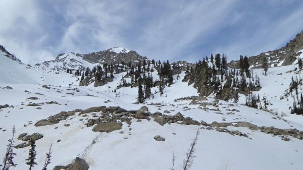Baldy photo 2