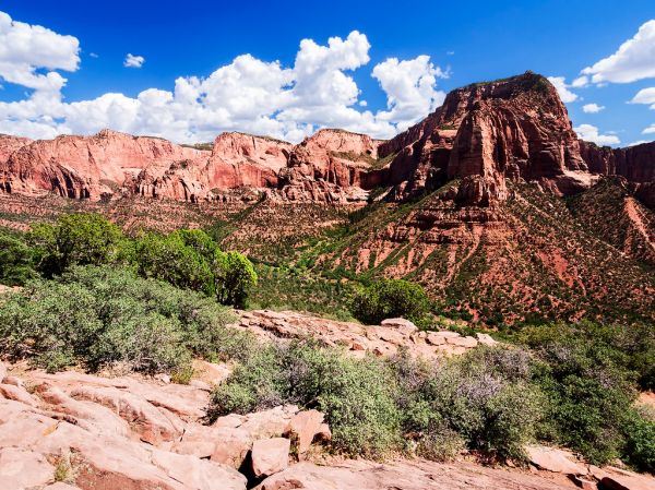Shuntavi Butte, Utah