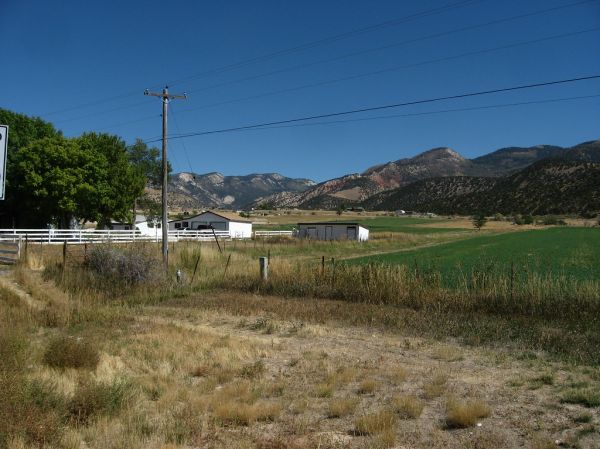 Sterling photo 3