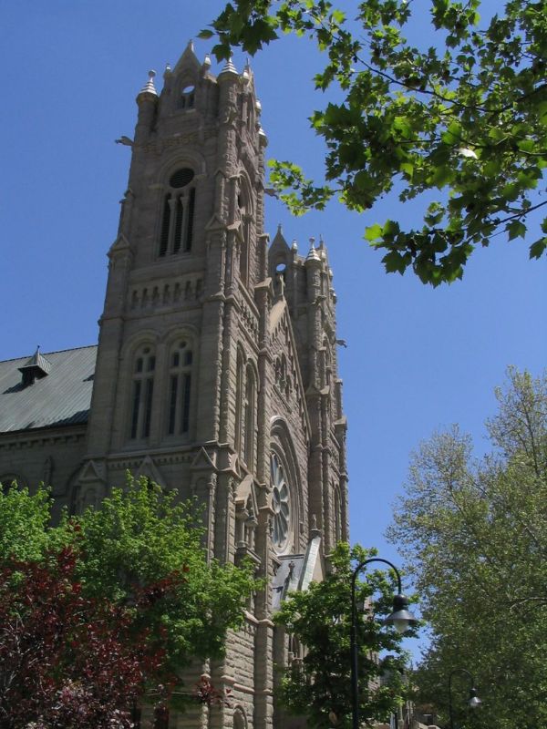 The Cathedral photo 3