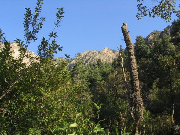Cottonwood Heights, Utah
