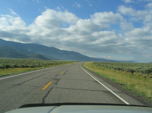 Loa photo 2