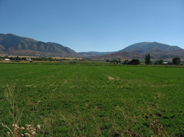 Elk Ridge photo 3