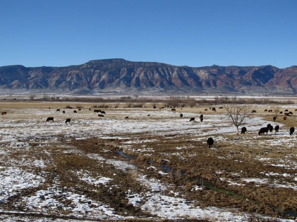 Sugar Knoll, Utah