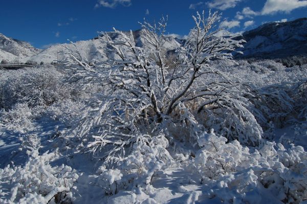 Mahogany Hill, Utah