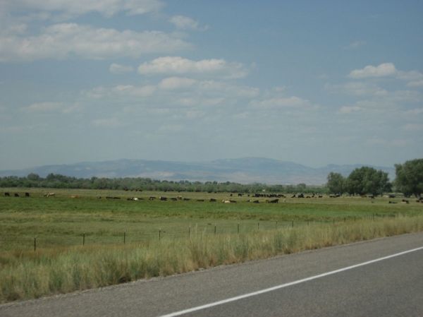 Gunnison photo 3