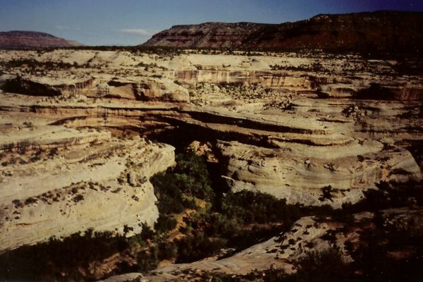 No Name Mesa photo 2