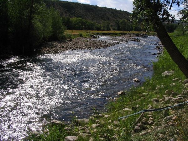 Tabiona photo 2