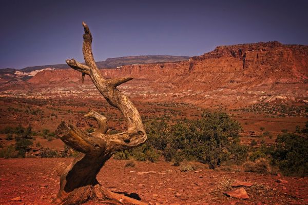 Lone Tree Mountain photo 2