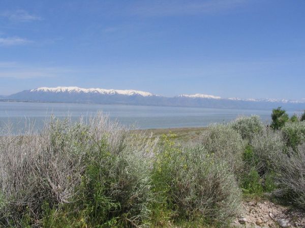 The Island, Utah