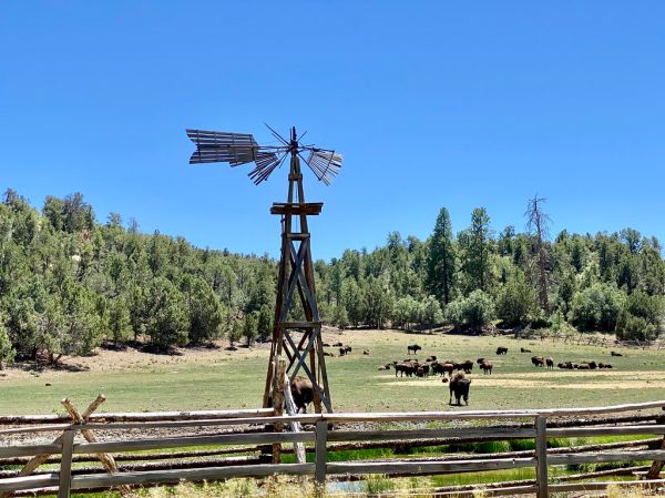 Mormon Pasture Mountain photo 3