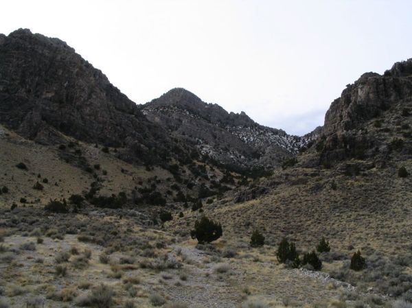 Conger Mountain photo 2