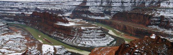 Mustang Mesa photo 3