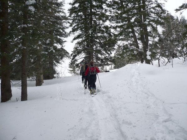 Summit Park photo 2