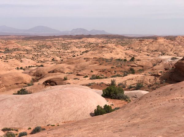 Grey Mesa photo 3