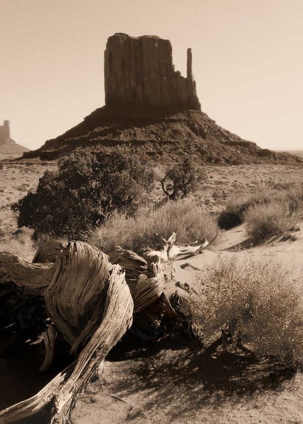 Monument Hill photo 3