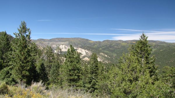 Griffin Top, Utah