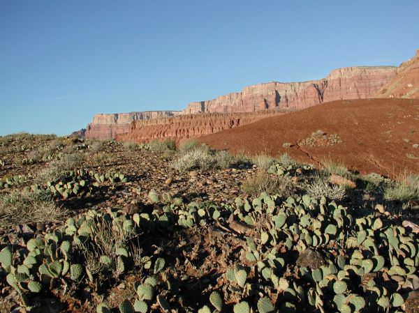 Little Red Hill photo 2