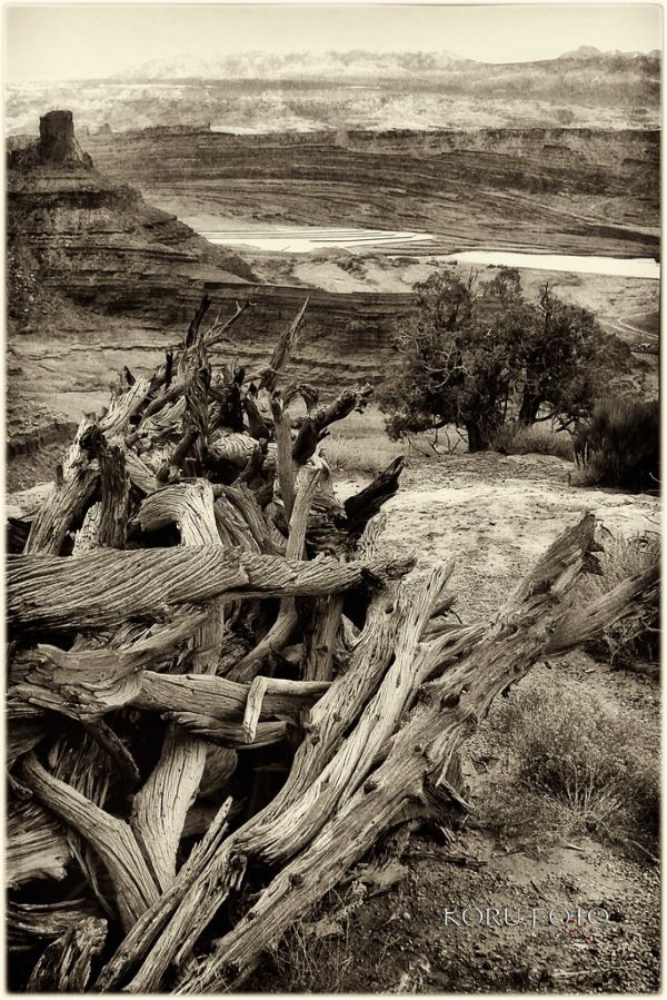 Corral Point photo 2