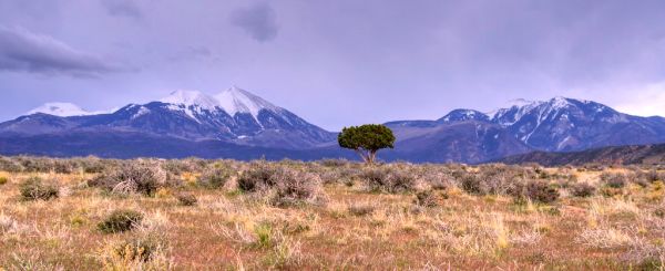 Lone Tree Mountain, Utah
