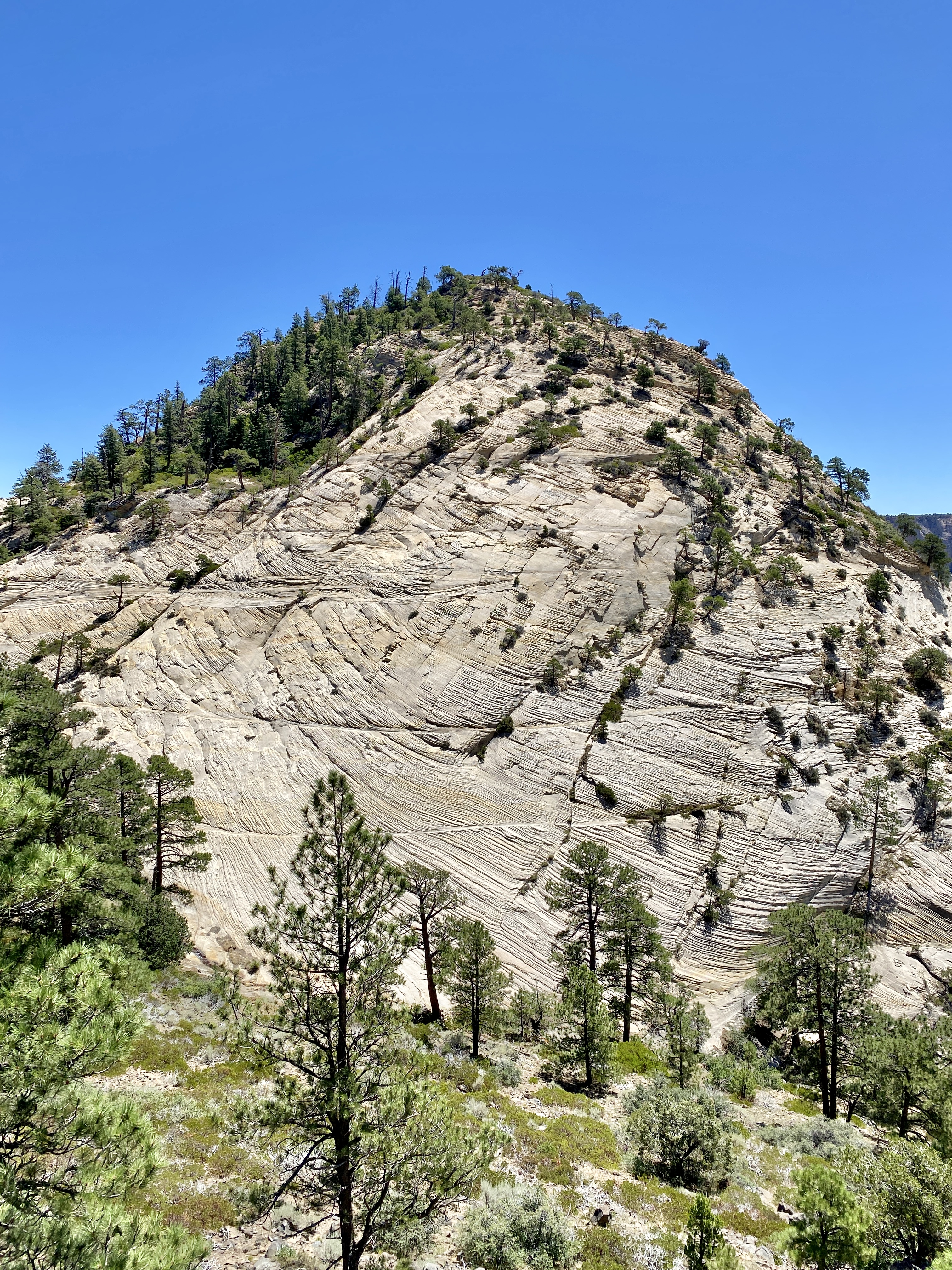 Northgate Peaks photo 2
