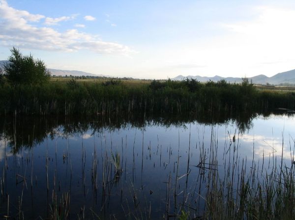 Glenwood photo 3