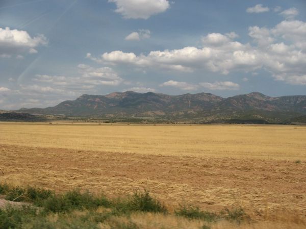 Horse Heaven photo 3