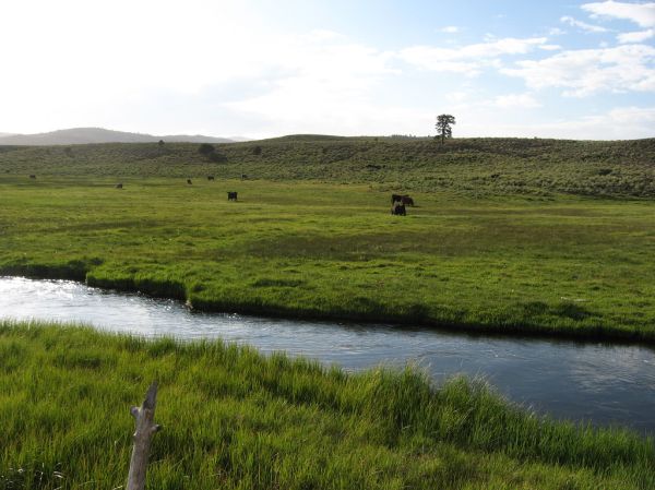 Miller Knoll photo 2