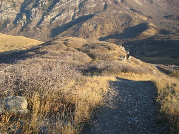 Little Flat Top photo 3