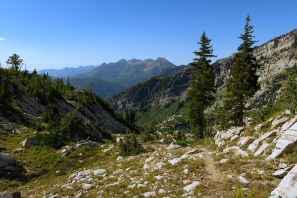 Silver Peak photo 2