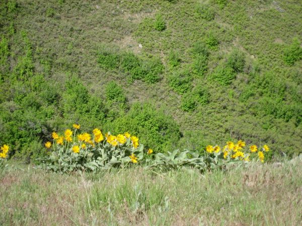 Jacks Peak photo 3