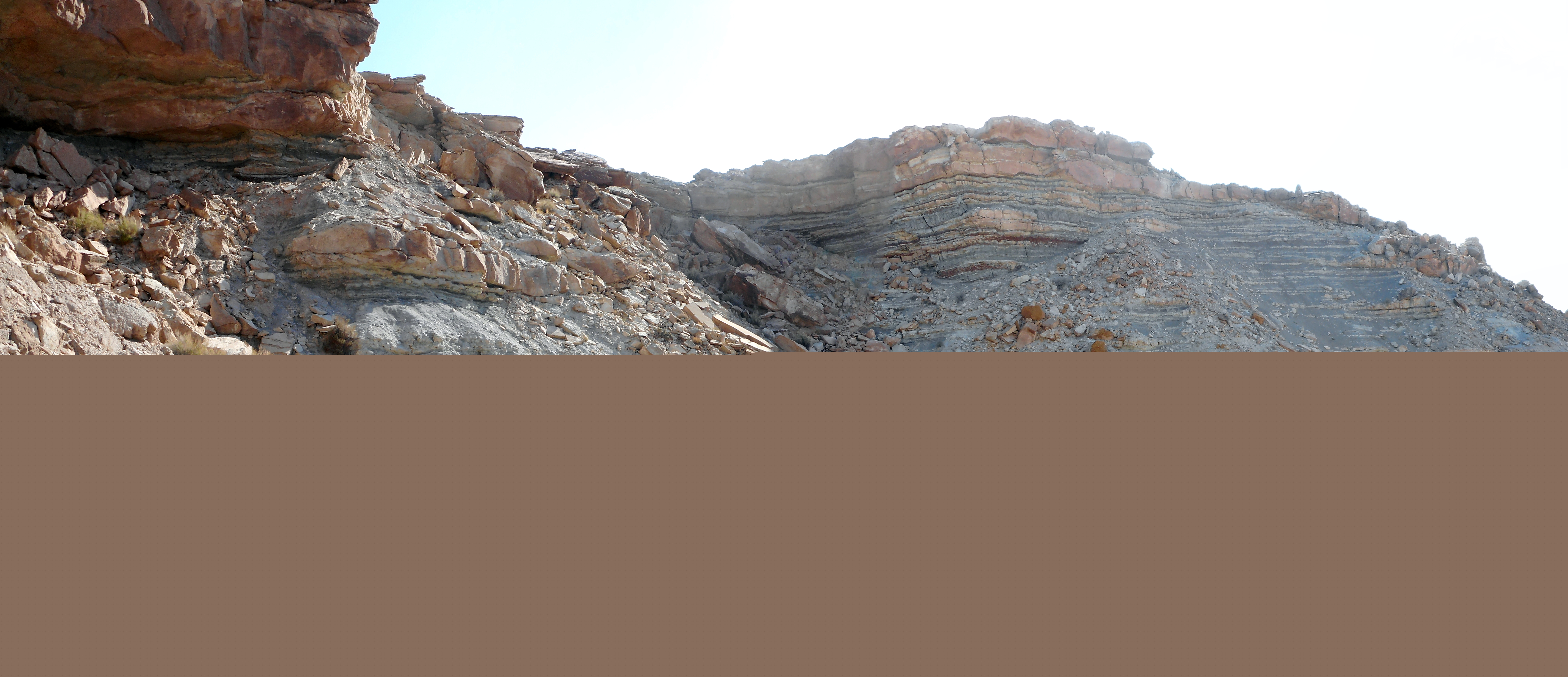 Shadscale Mesa, Utah